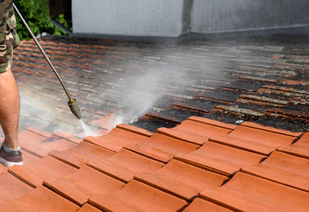 Best Exterior Home Cleaning  in Bangor, WI