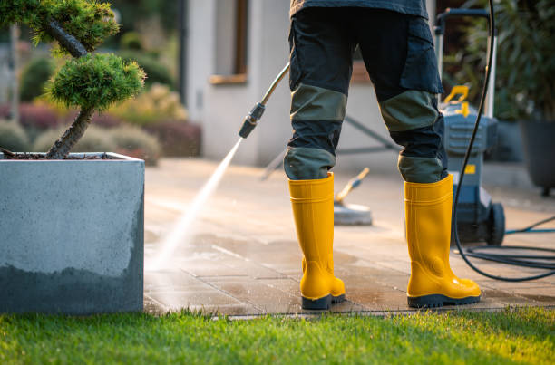 Best House Pressure Washing  in Bangor, WI